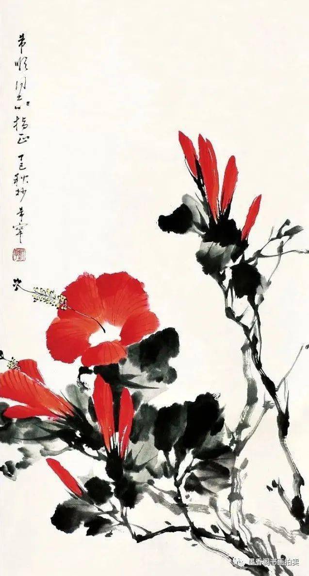 赏名家笔下的扶桑花质朴美丽令人赏心悦目