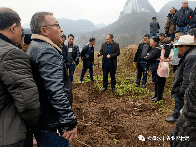 水城区化乐镇举行春耕生产现场培训会