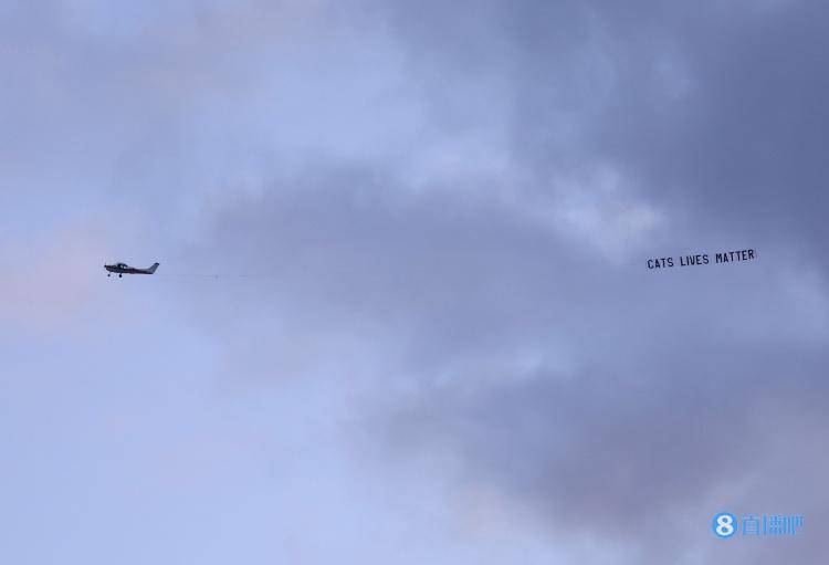 横幅|嘲讽祖马，安菲尔德球场上空飞机挂着“猫命贵”横幅飞过