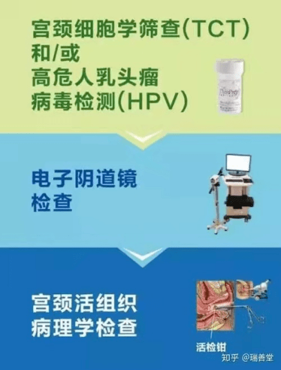 hpv知曉日系列活動宮頸癌篩查三階梯