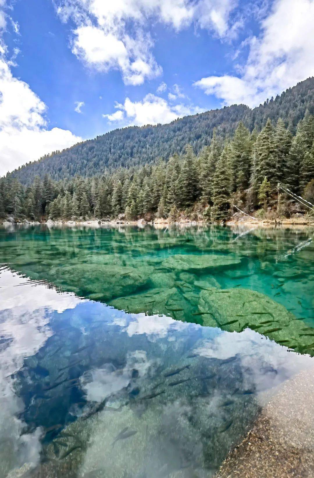 措普湖沿山体一侧还有一个小湖在栈道上慢慢的走一步一景