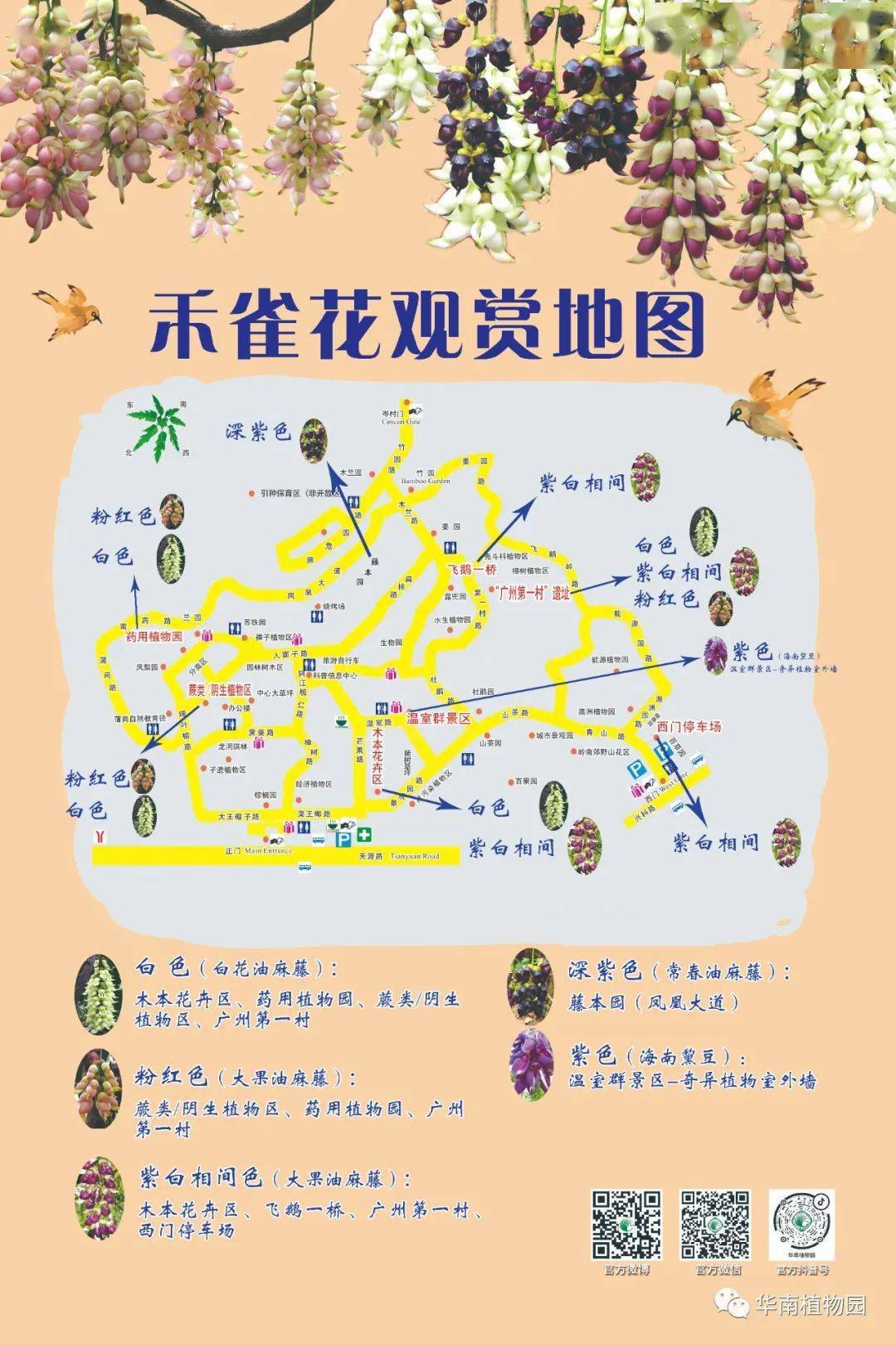 华南植物园春季赏花c位就是她