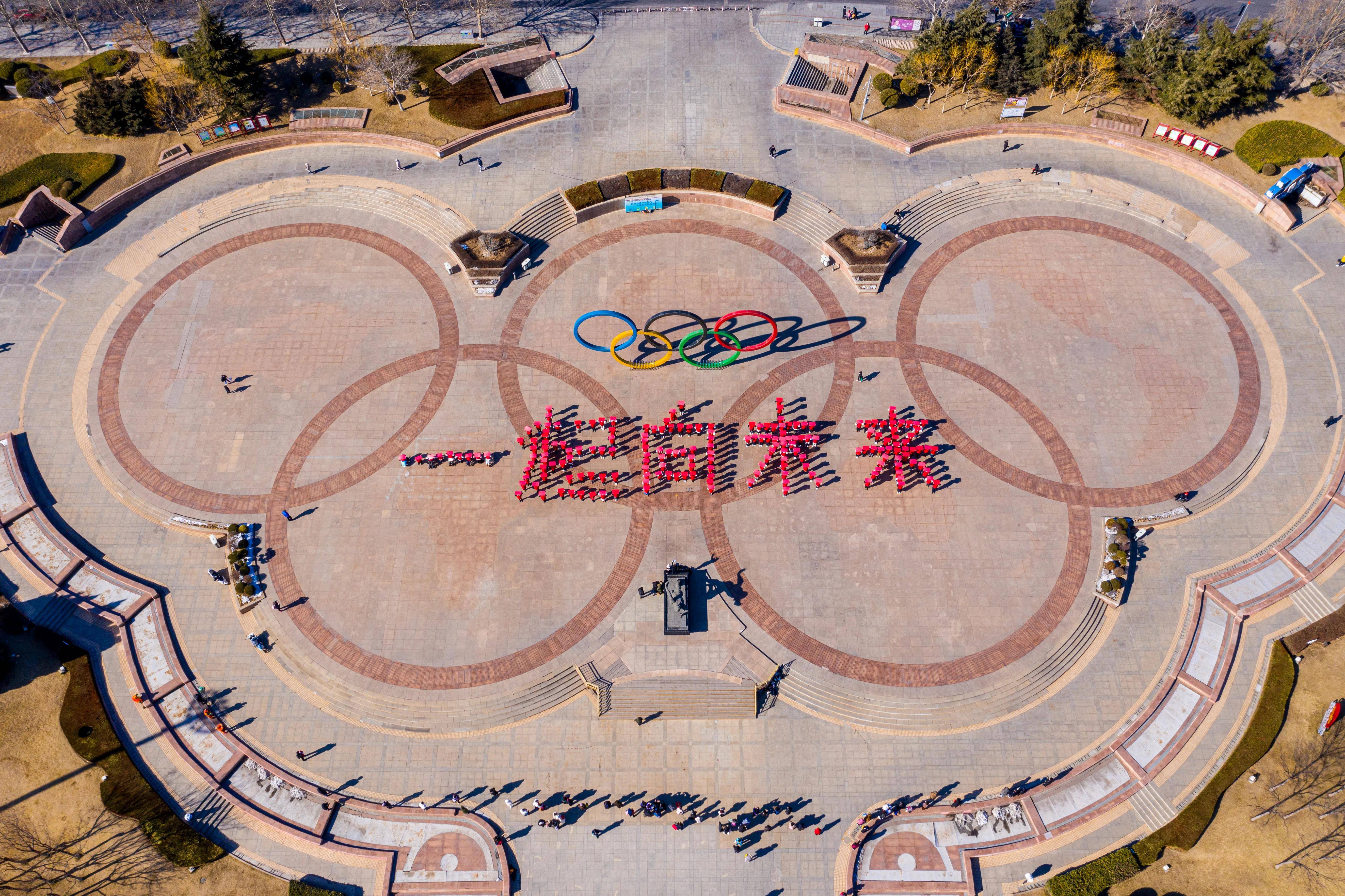 加油向未来第五季图片