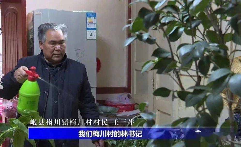 岷县梅川镇梅川村村民 王三牛:我们梅川村的林书记,对群众,对老年人