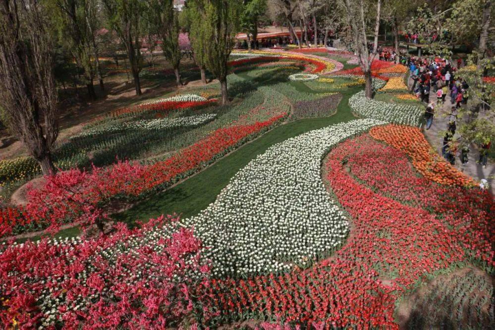 市属公园最全赏花攻略北京最佳观赏点都在这里