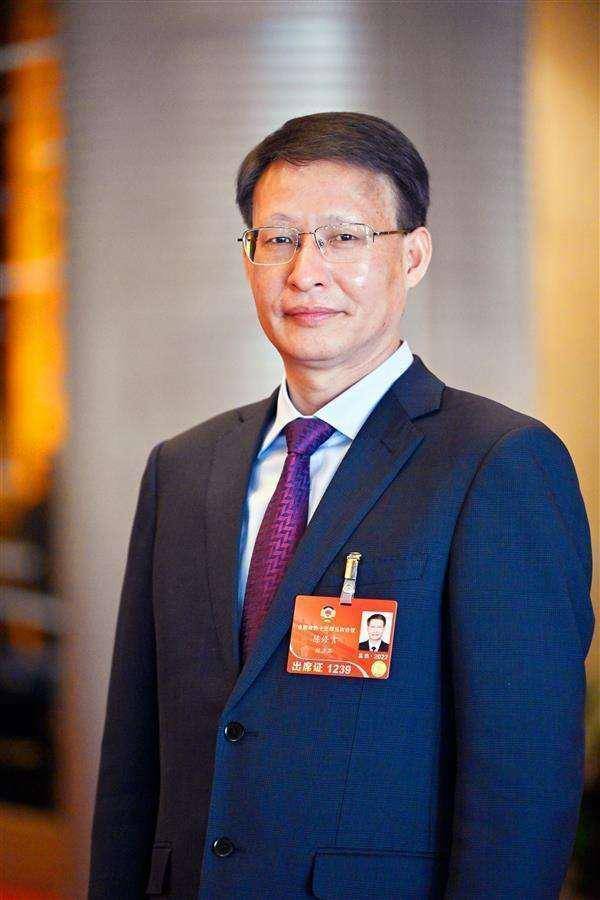 全国政协委员陈修言:光伏建议明确分省新能源规划目标_发展_国家_电网