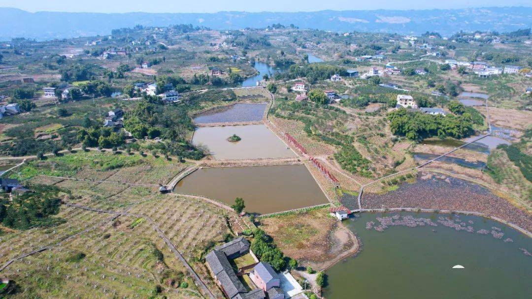 广普镇_广普乡_普兴