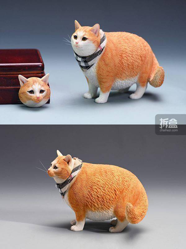 产品JXK 1/6 换头肥猫模型 仿真可爱有趣宠物猫咪动物潮玩摆件