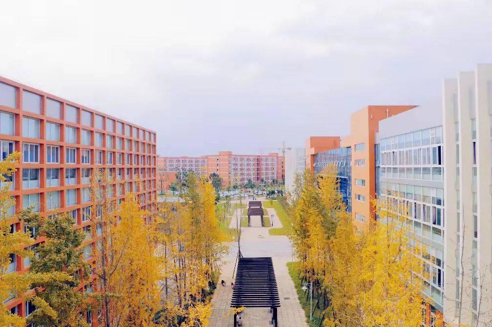 乐山职业技术学院照片图片