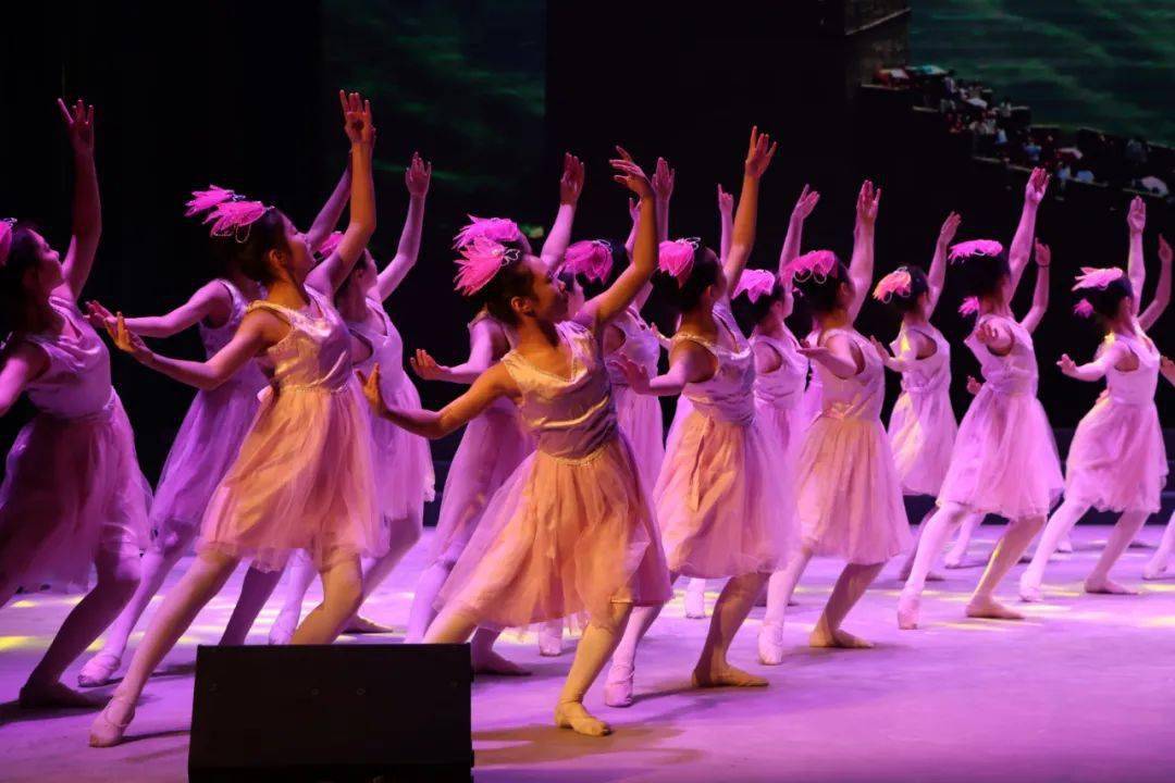 市戏曲艺术学校承办庆祝妇女节联谊演出成功举行_表演_西市区_芳华