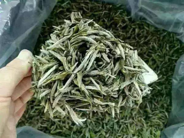 黄茶|白茶护肝,红茶暖脾……喝茶有张体质表