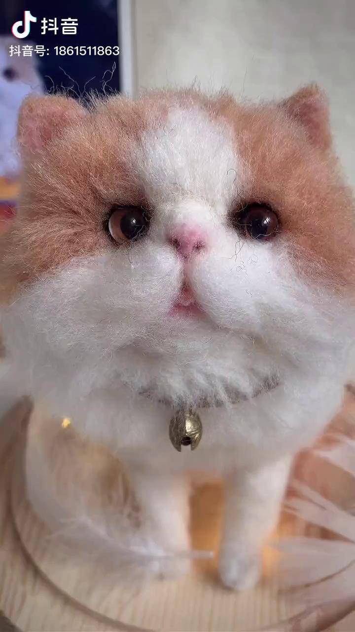 用针戳一只大胖猫羊毛毡羊毛毡宠物定制羊毛毡手工萌宠是宠物更是家人