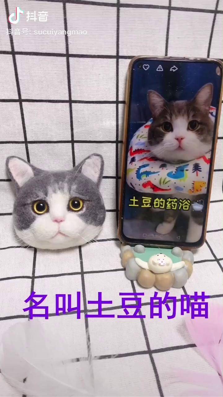 羊毛毡戳戳乐手工diy猫咪名叫土豆的猫咪定制头像挂件
