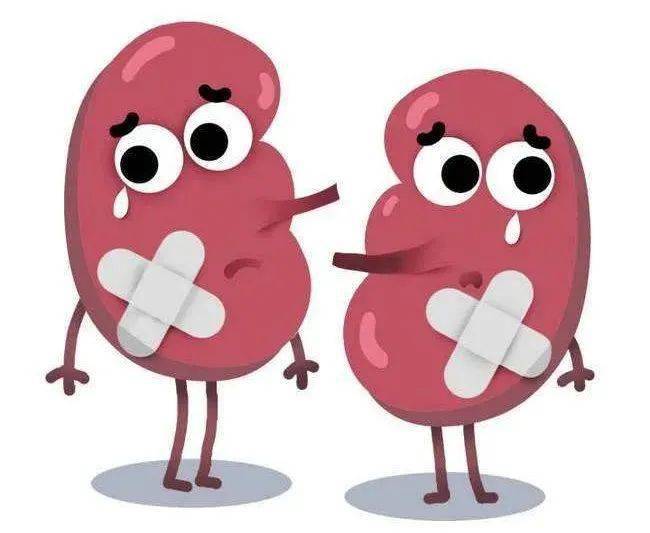 大爱有声第243期今天我们来聊点走肾的世界肾脏日