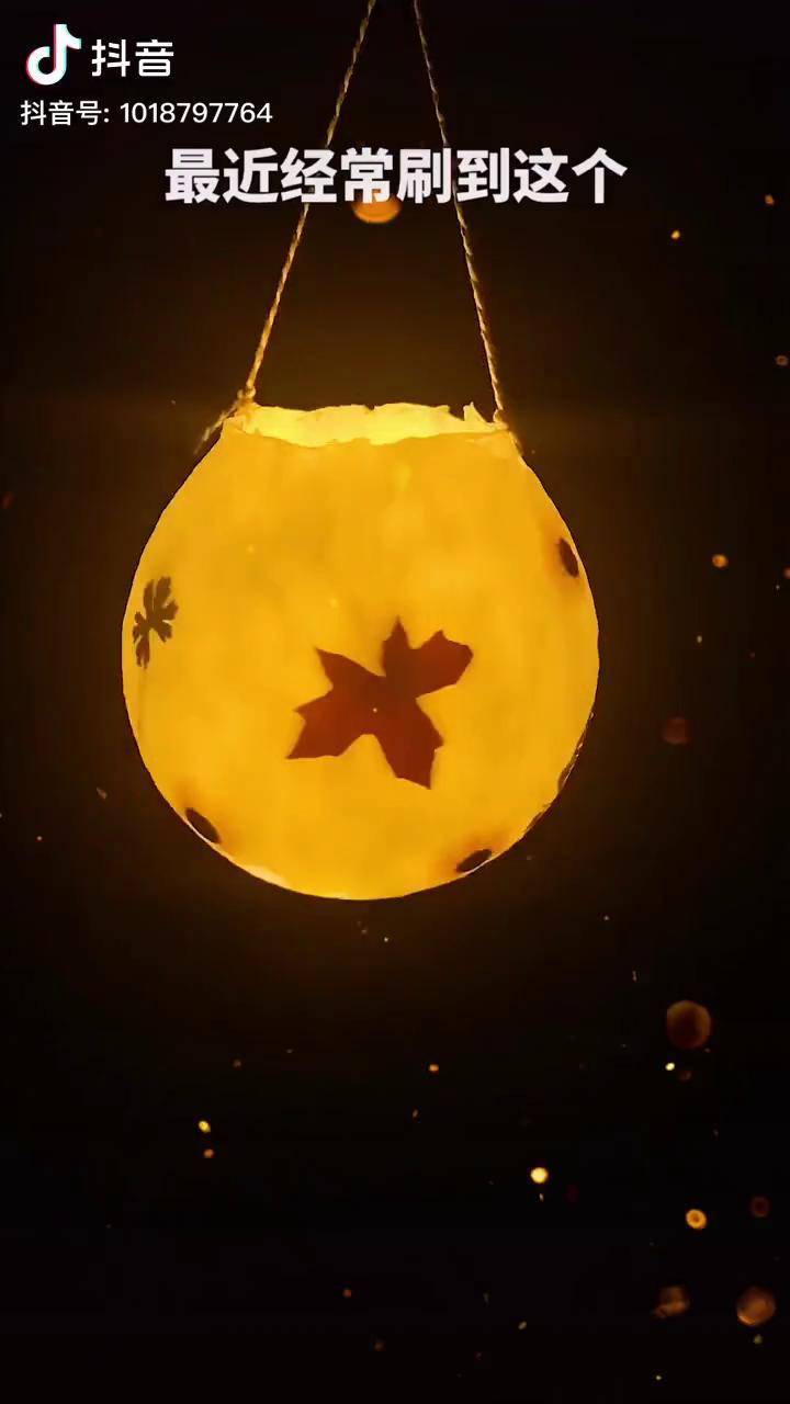 今年中秋在家diy一个花草灯吧真的太梦幻啦明月千里共婵娟