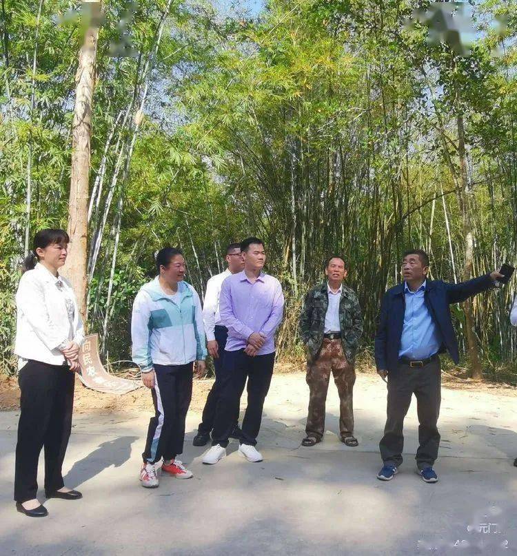 王桂厅一行先是来到元门乡向民村白沙起义第一枪旧址纪念园,详细听取
