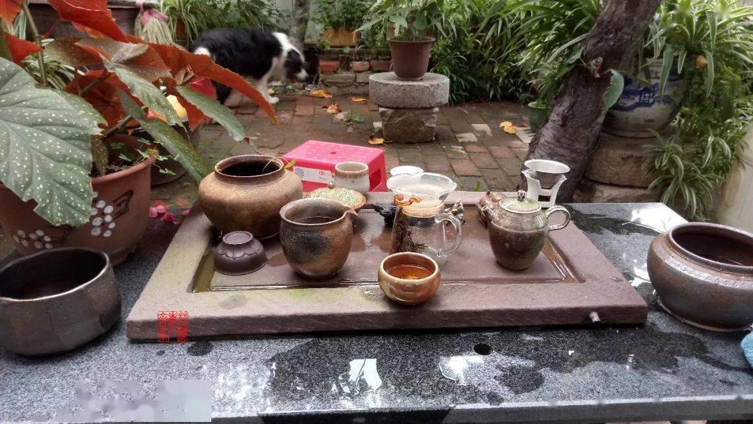 有个院子静时读书闲时喝茶