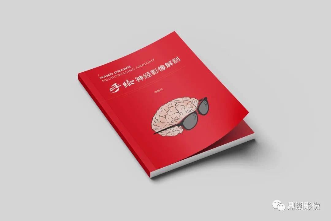 诊断和手术都至关重要,但是我们却往往忽视了对一些解剖结构细微变化