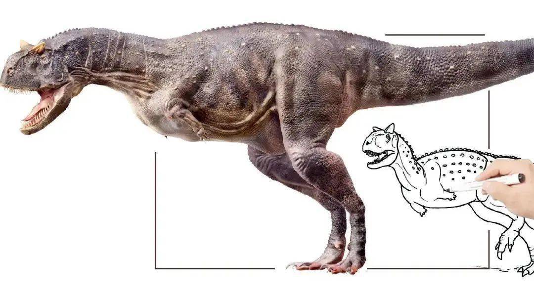 现在跟恐龙嘴接近的是鸟类和鳄鱼,大型恐龙的肌肉结构参照鳄鱼来处理