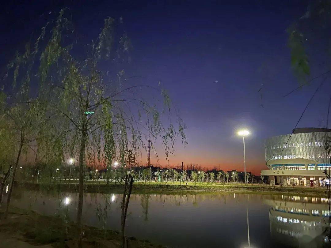 博思楼前湖边夜景路灯如同星星点缀在夜晚之中14洛阳科技职业技术学院