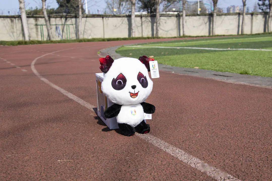 "顶流"蓉宝也不例外哦川影严格执行入校前的防疫措施扫码,测温,检查