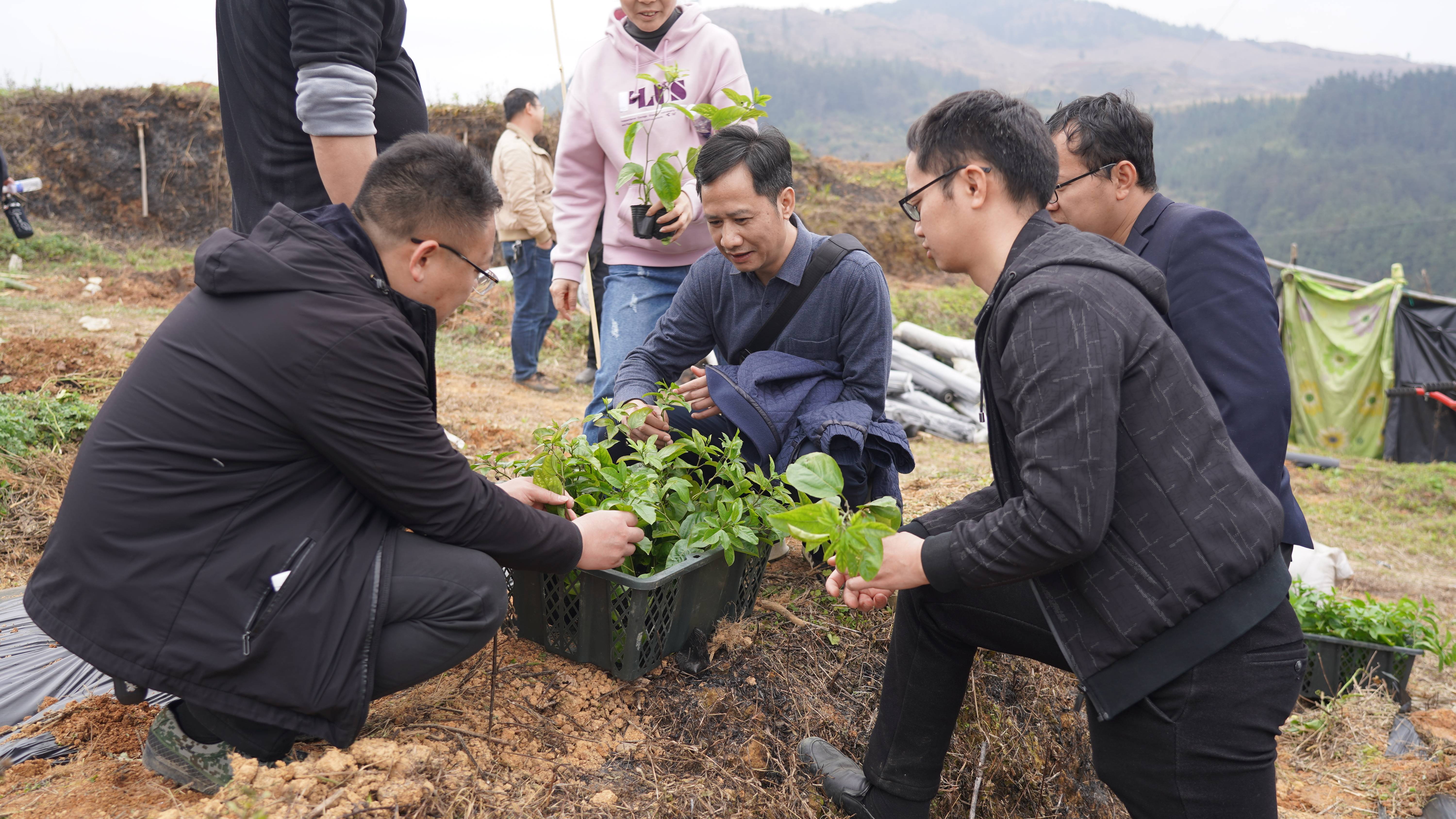从江县丙妹镇组织开展百香果种植技术现场培训会