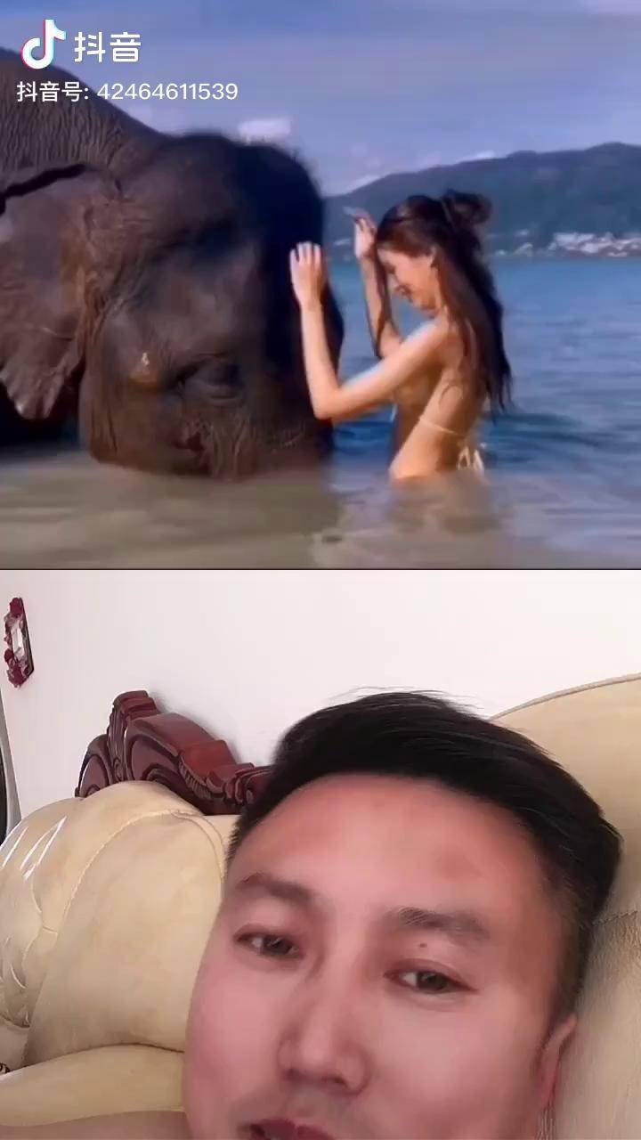 美女没憋住放了个屁哥脾气不太好大象搞笑视频意不意外专治不开心