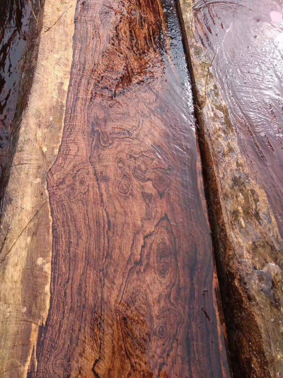 伯利兹黄檀而大叶黄花梨在前几年是长叶鹊肾的俗称,所以一些老木友听