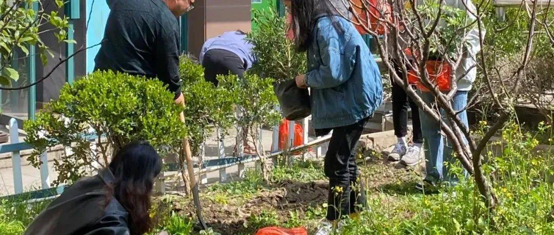 每年迎接植树节的仪式感——种树!_画廊_桐乡市_小树林