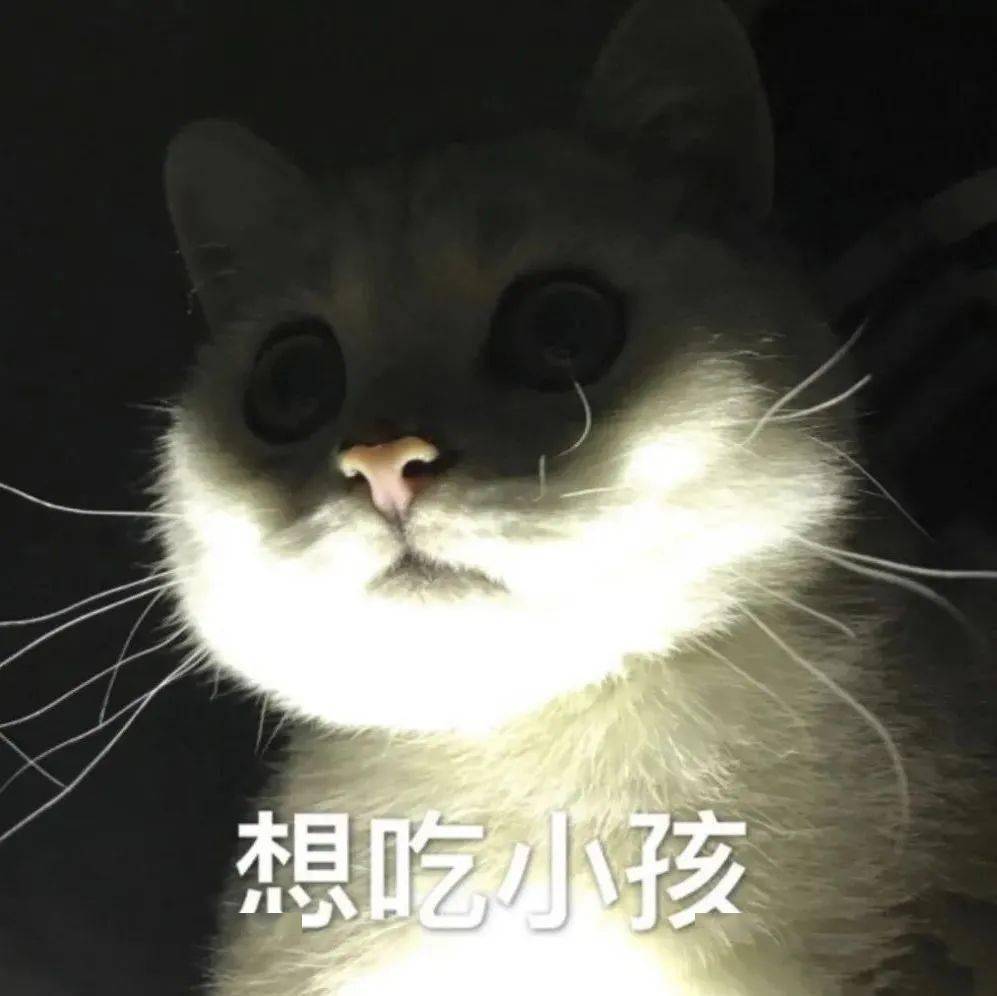 嘿嘿嘿嘿色字头上一把刀丨第341期喵表情包