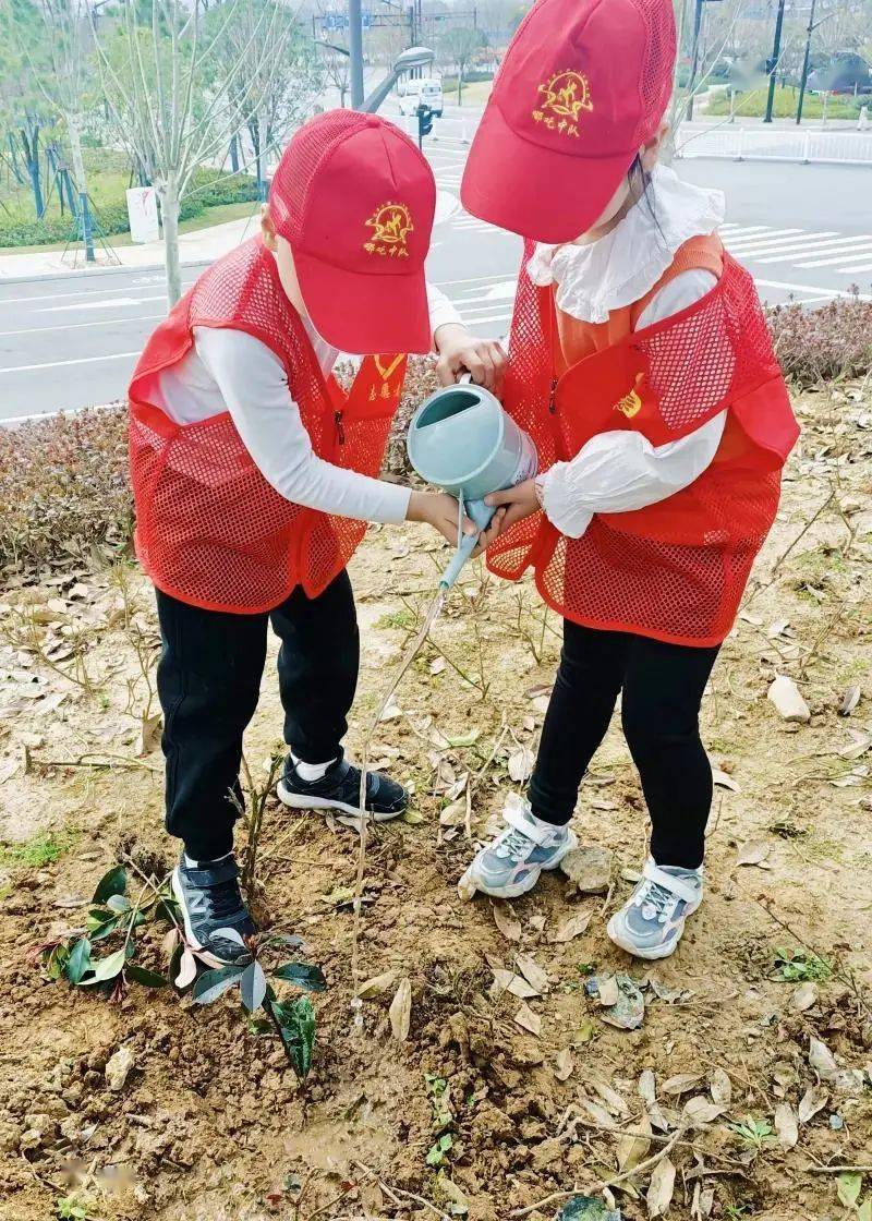 隊員們還積極發揮創意,自制花盆和裝飾,陪伴綠色共同成長.