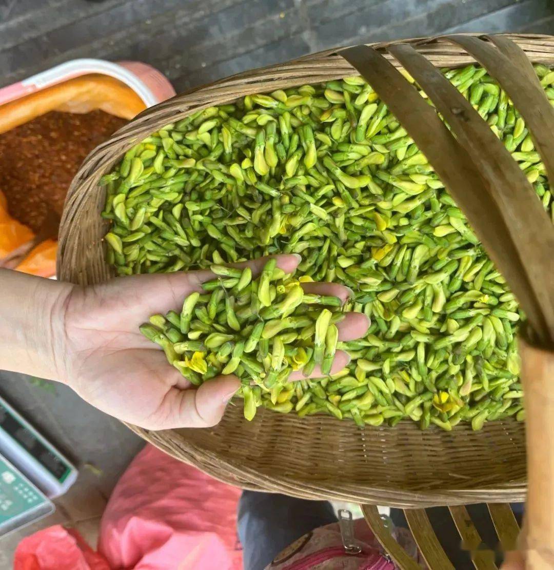 楚雄市场内山茅野菜上市小时候的味道你吃过多少?