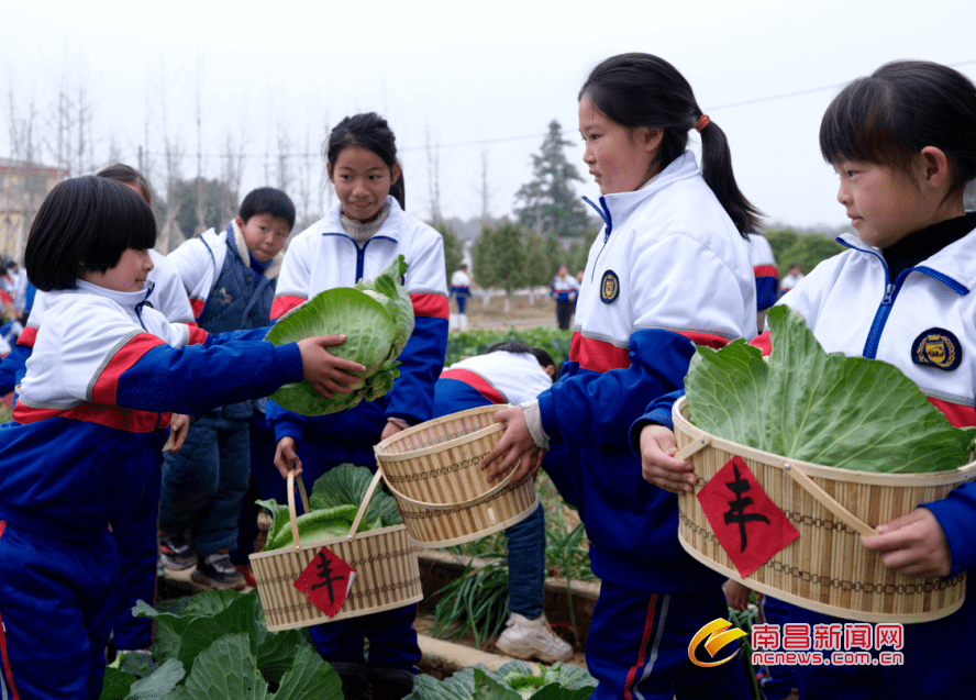 县昌南实验学校,南昌市进贤县白圩乡中心学校,南昌市安义县长埠中学