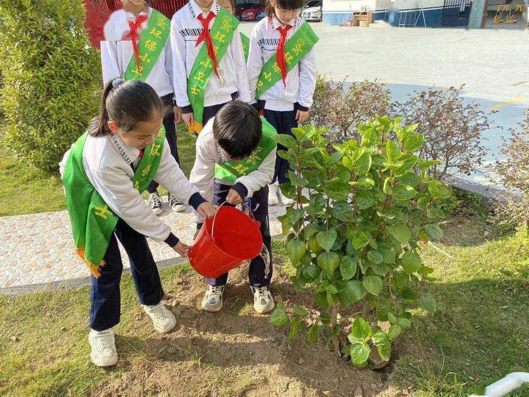 龙湖区各中小学校开展植树节系列主题活动