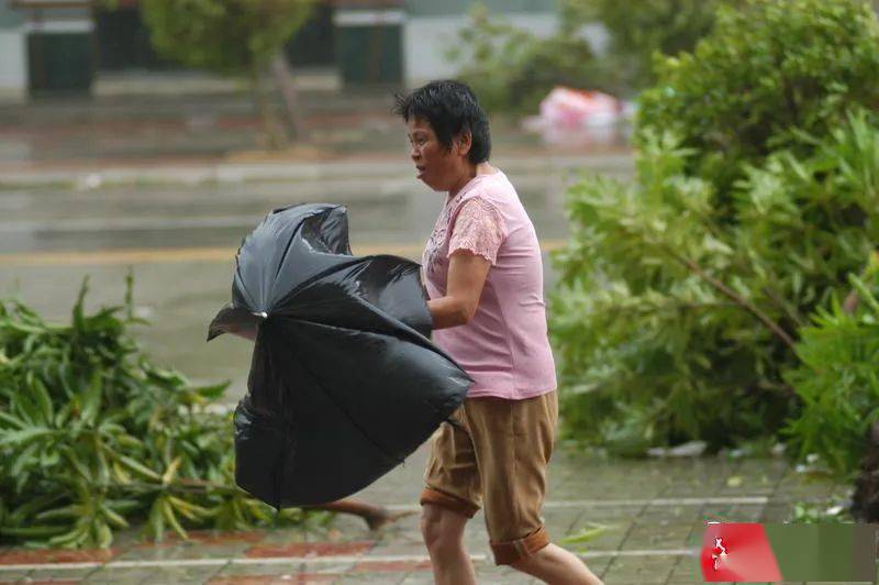 风雨扫荡图片