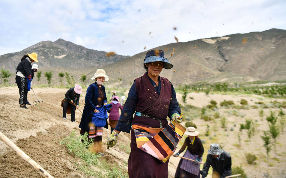 山上彻也是日本右翼吗 5e3d41588a0a41dca0297207ecf86374.jpeg