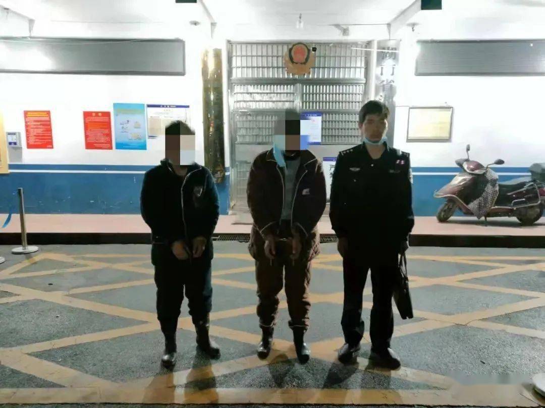 顶风作案！岳阳杨某明等4人被抓...