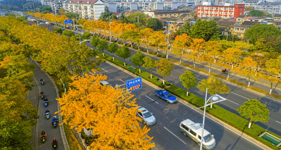 植此青绿满无锡