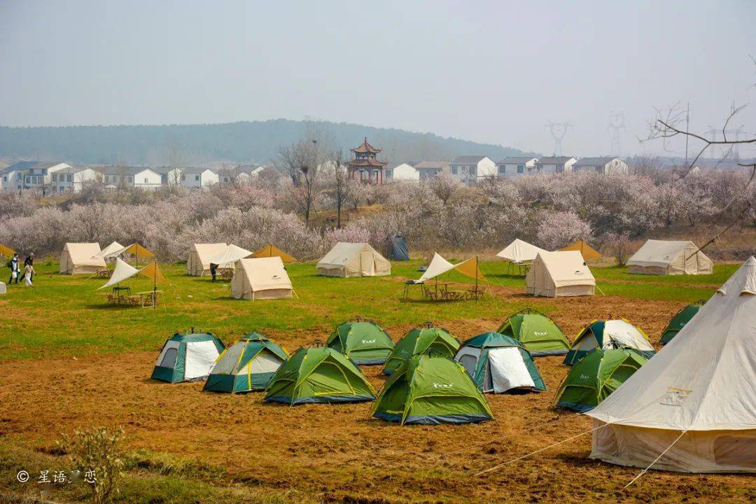 圣人窝樱桃谷花已盛开你还不来
