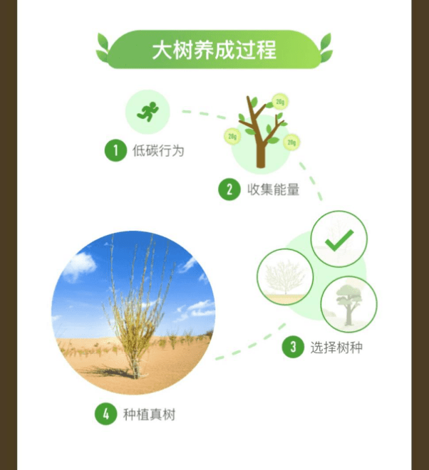 312植树节蚂蚁森林公益活动让我们一起云植树吧