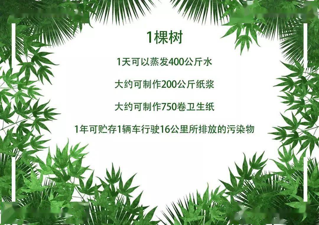 大树的作用简短图片