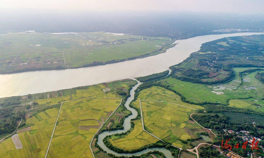 海口琼山区三十六曲溪太美了, 要火遍全国!_蛇桥_海南_生活