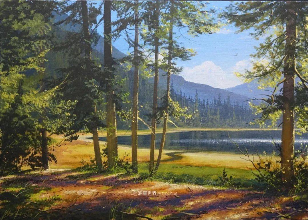 维克多的风景让人赞叹不已无尽透彻的光独特的田野之美