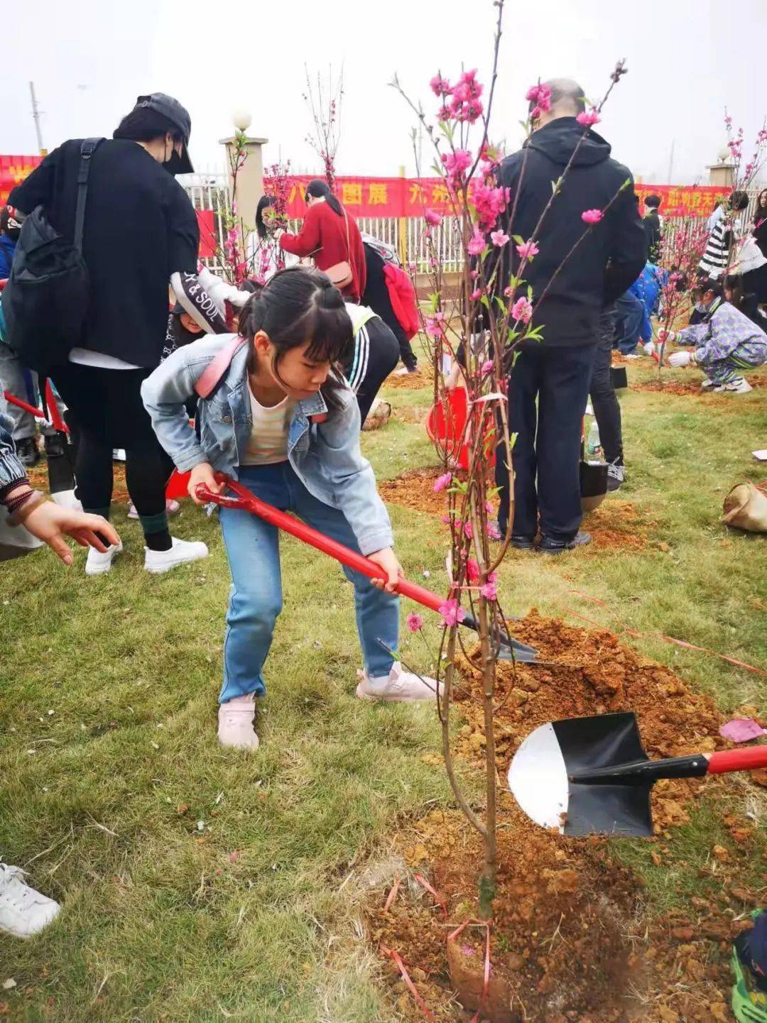 景暉校區植樹節讓我們一起來植樹吧南寧市鳳翔路小學景暉校區