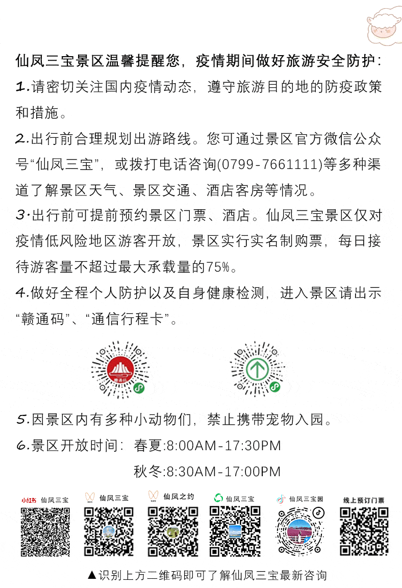 不负好春光仙凤三宝迎来首个赏樱季