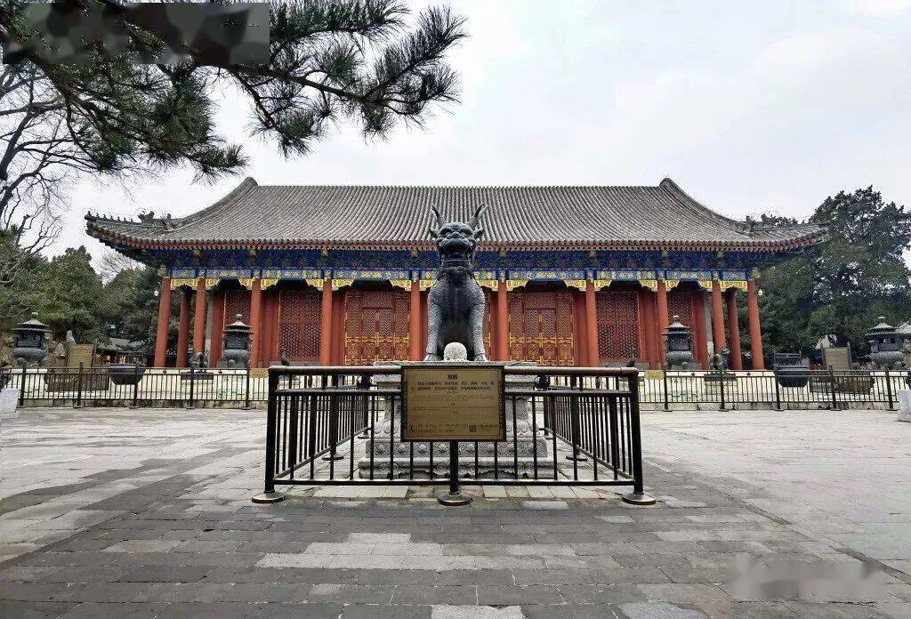 春到颐和园_木牌楼_文昌阁_仁寿殿