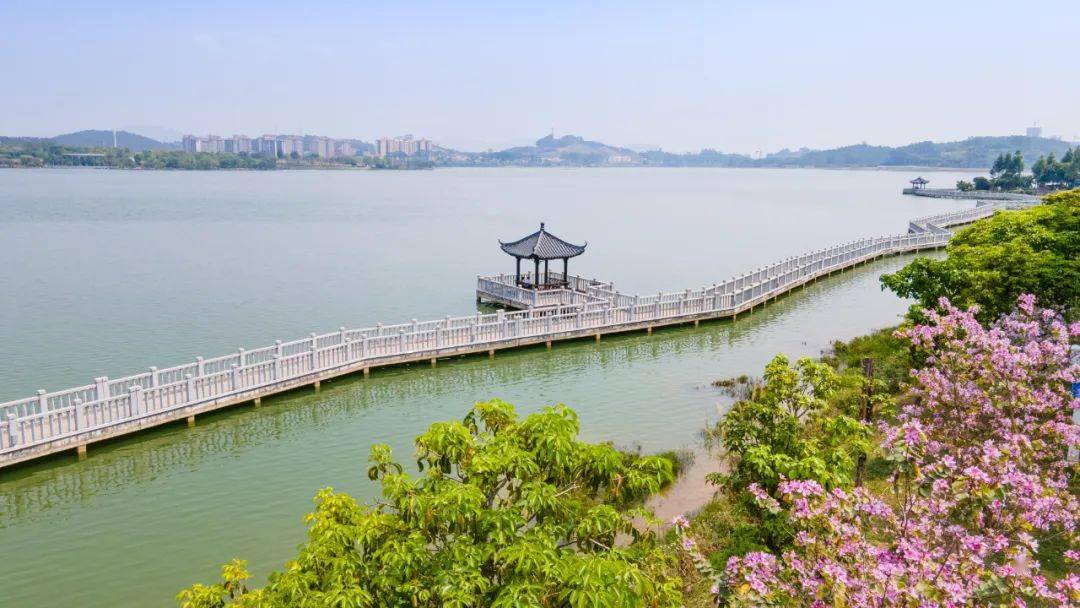 广州增城荔湖公园图片