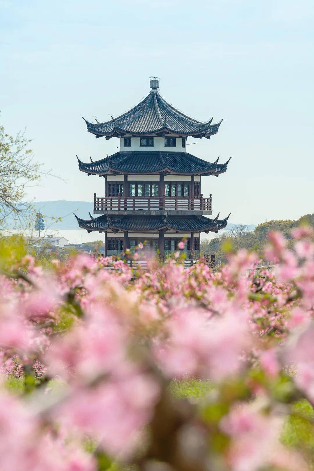 光福镇_金庭镇_古村