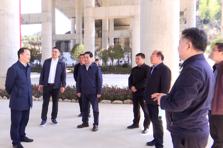 在大畈镇隐水村,张忠凯实地查看了村容村貌,项目建设和产业发展等情况