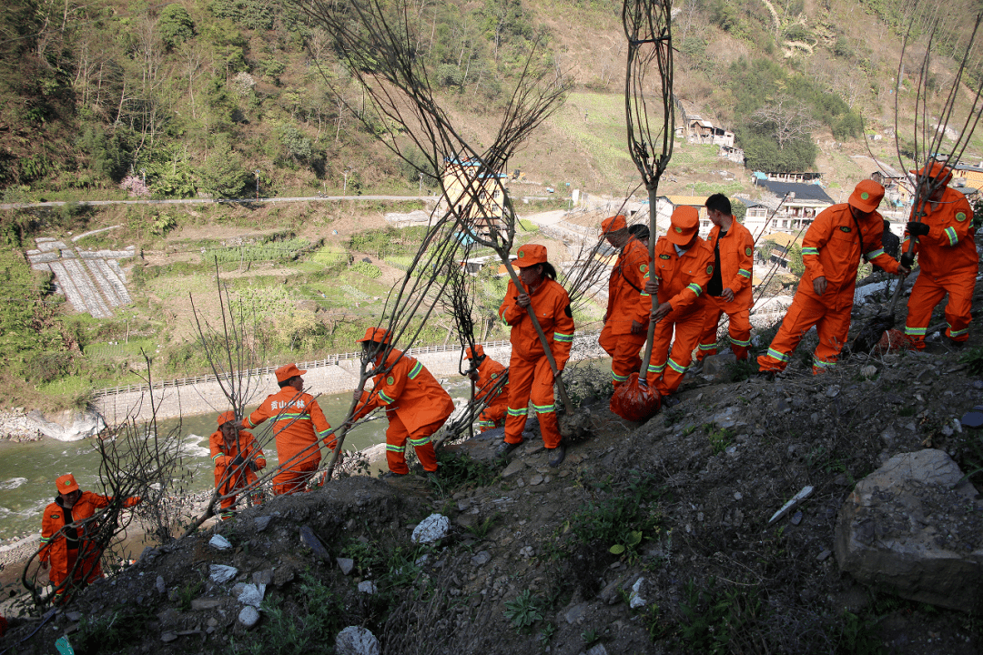 重学习 抓落实 创一流 | 茨开镇开展"贡山县绿化美化三年行动暨2022年
